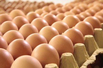 濮阳鸡蛋检测价格,鸡蛋检测机构,鸡蛋检测项目,鸡蛋常规检测